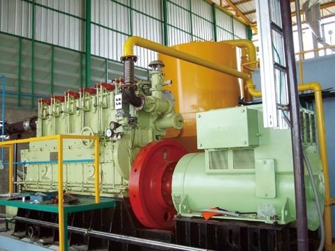 意大利生物質(zhì)氣項目