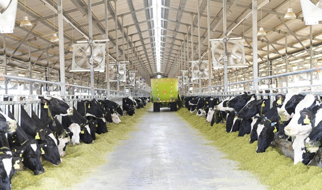 蘇墾優(yōu)然牧業(yè)沼氣發(fā)電項(xiàng)目并網(wǎng)發(fā)電