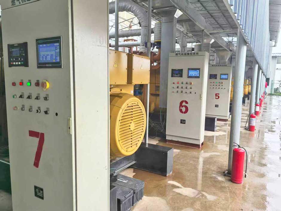 云南省市領導視察綠環旗下大海子瓦斯發電電站